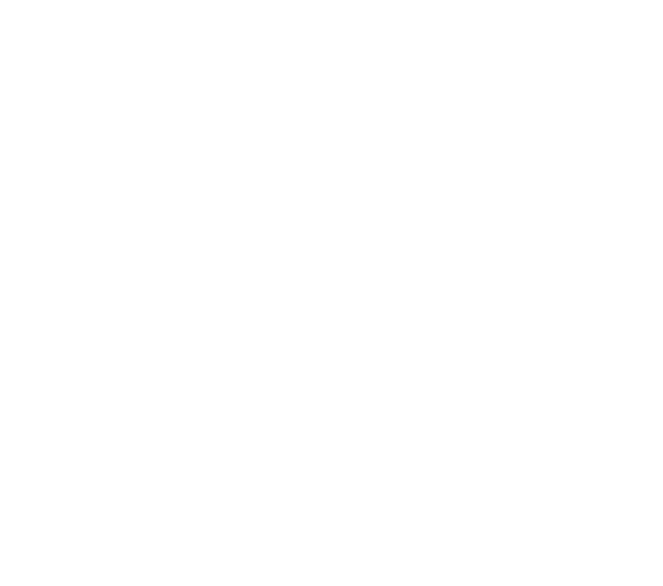 Dn auto workshop LLC