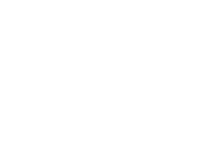 Dn auto workshop LLC